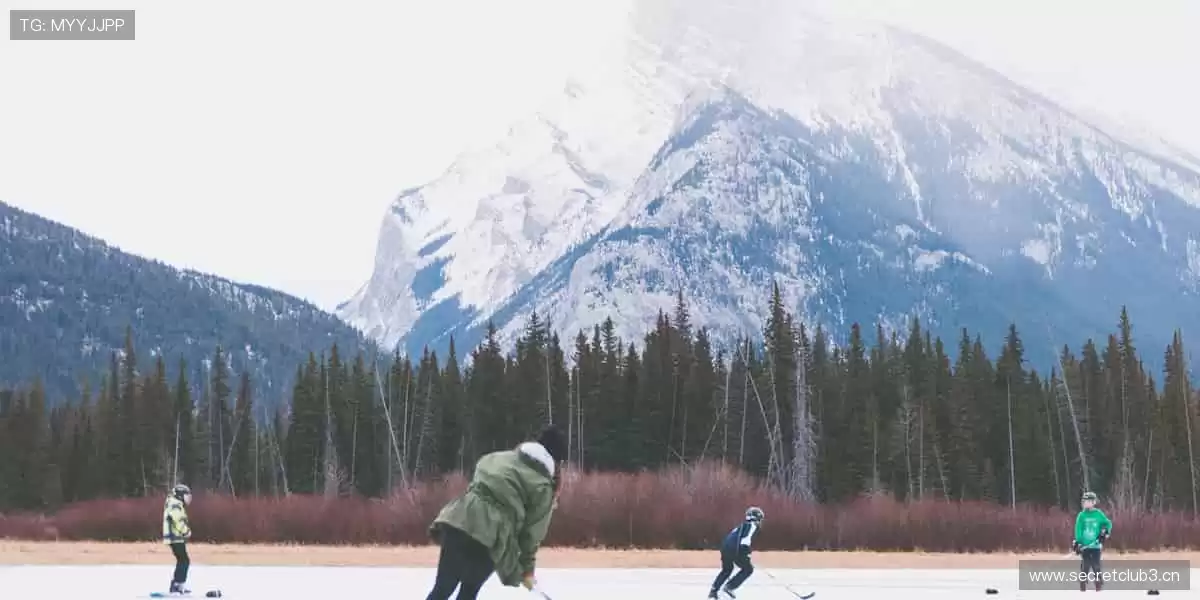 数据与激情同频,专业共欢乐一色!📊🎉 用科技解锁体育新视角!